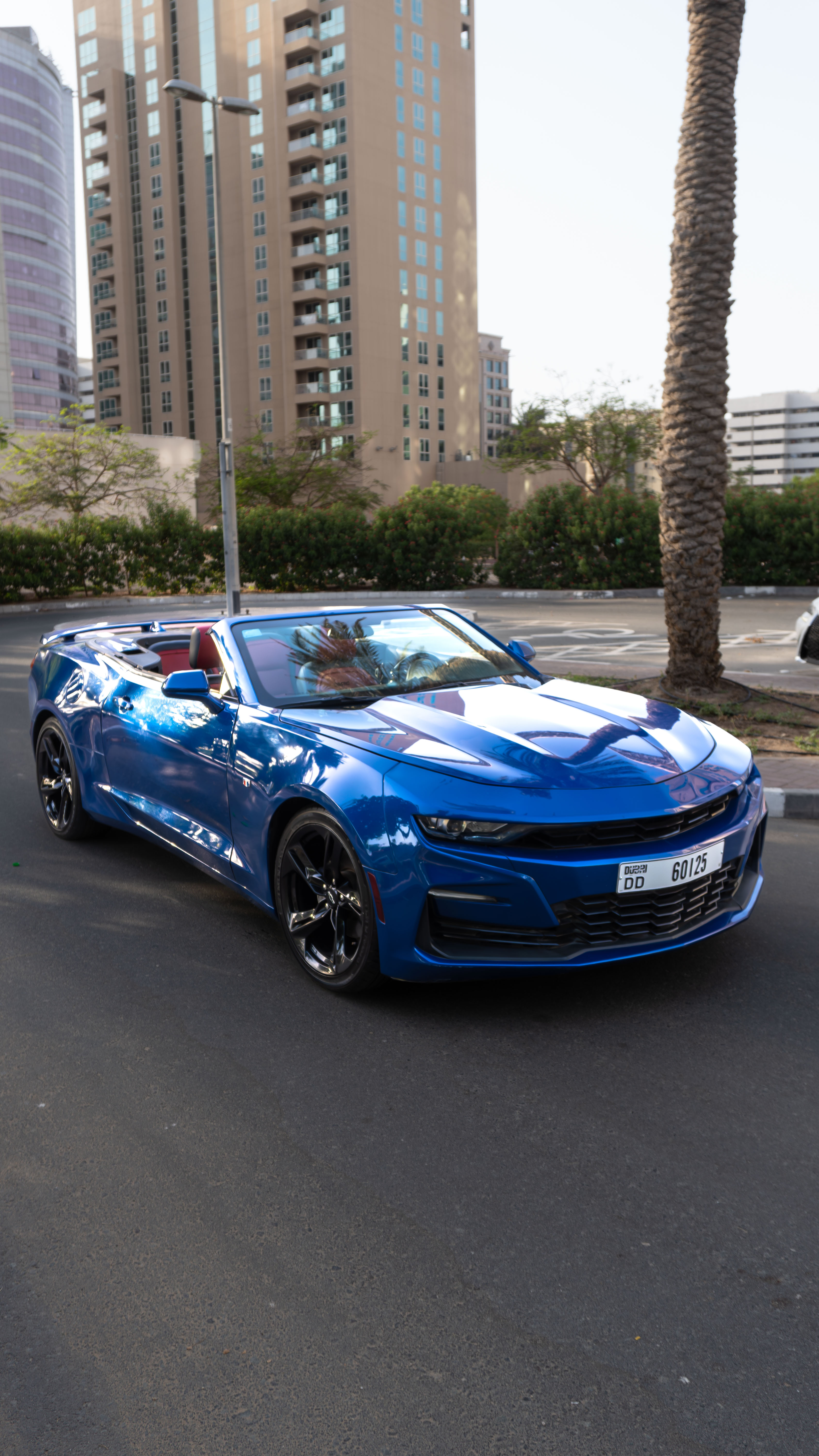 Chevrolet Camaro thumbnail 3